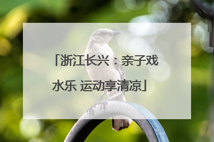 浙江长兴：亲子戏水乐 运动享清凉